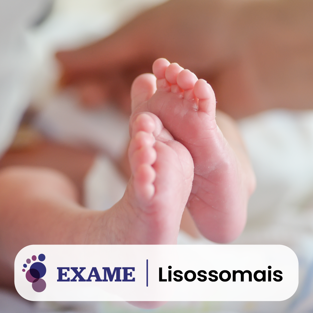 Loja Lab_Lisossomais